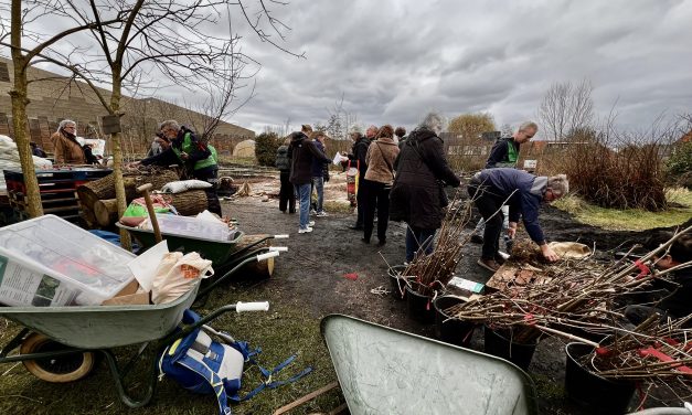 Zorgen over biodiversiteit in Leidsche Rijn door bredere natuurcrisis