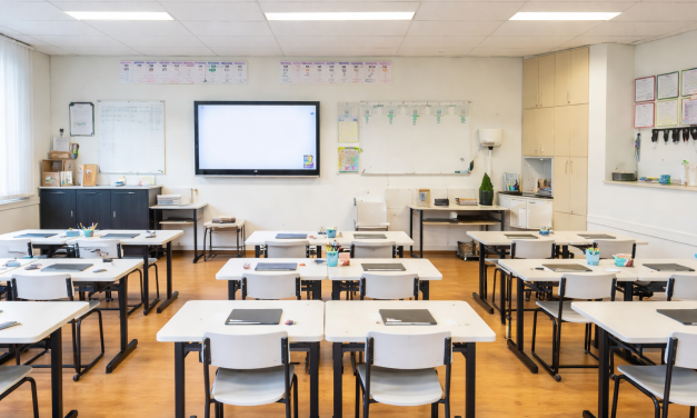 Groeiende klassen en toenemende werkdruk in Leidsche Rijn