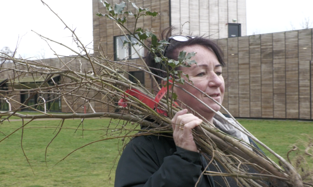 Van Duitsland naar Leidsche Rijn, Barbra redt bomen voor in haar tuin