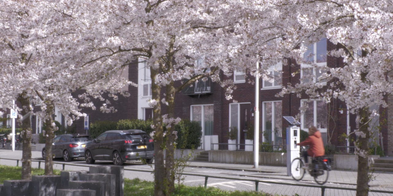 Leidsche Rijn staat weer in bloei