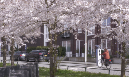 Leidsche Rijn staat weer in bloei