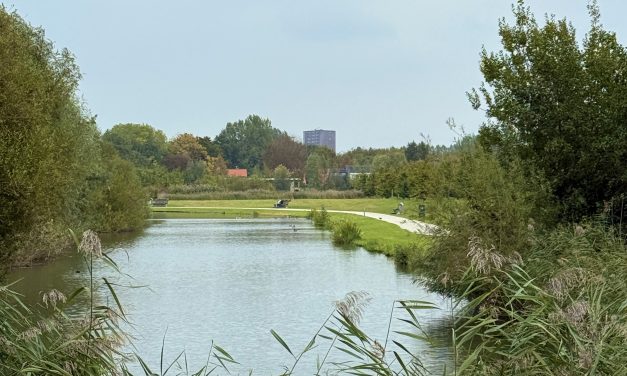Film Máximapark daverend succes: ‘wil mensen verwonderen over dit prachtige park’