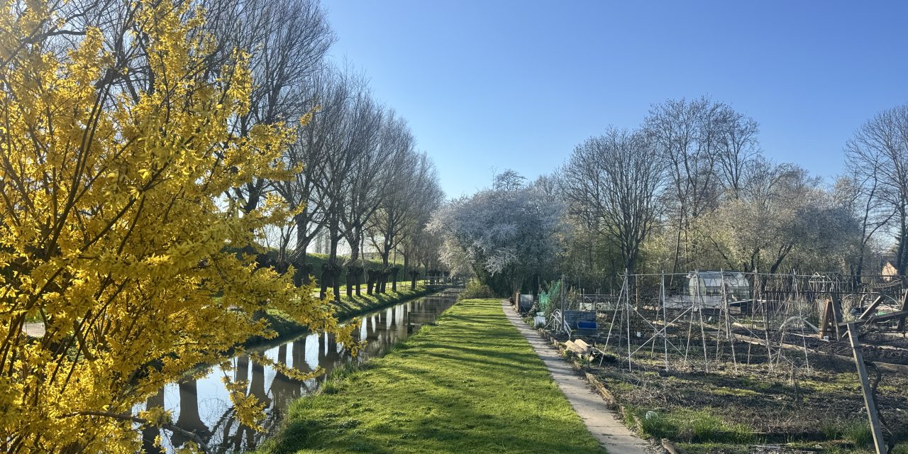 Hallo lente! De moestuinen komen weer tot leven
