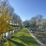 Hallo lente! De moestuinen komen weer tot leven