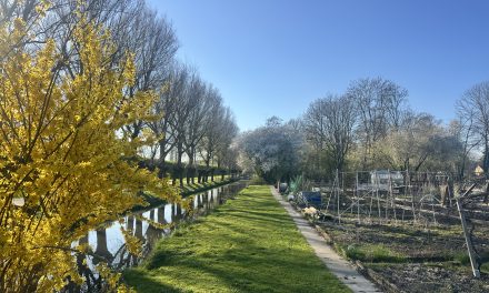 Hallo lente! De moestuinen komen weer tot leven