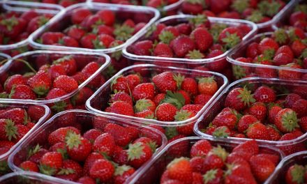 De markt zorgt voor verbinding