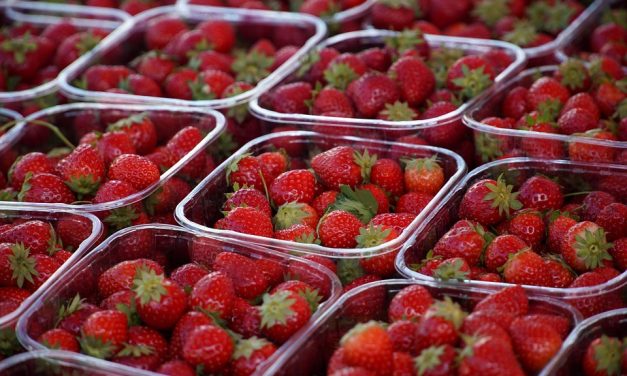 De markt zorgt voor verbinding