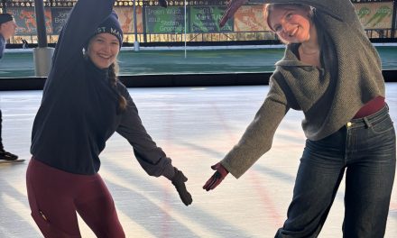 De dag van de Elfstedentocht