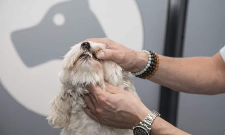 “Als je helemaal geen emotie meer voelt, dan moet je je afvragen of dit vak nog wel bij je past”