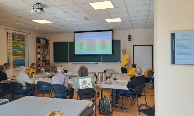 Meer bewoners in Leidsche Rijn zoeken natuurvriendelijke oplossingen nu wespen weer actiever worden
