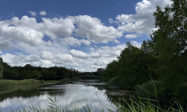 Sport, rust en spanning in het Máximapark