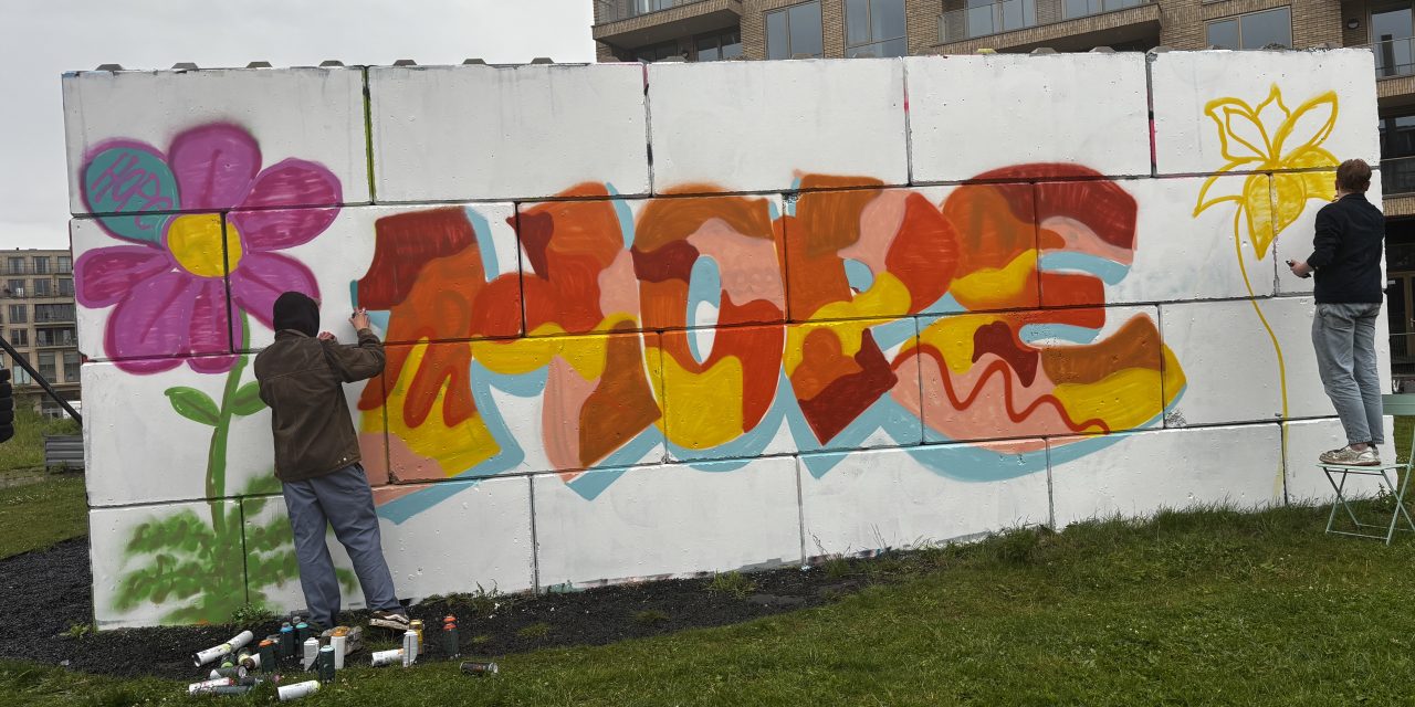 HopecoreFest, hoe hoop centraal staat