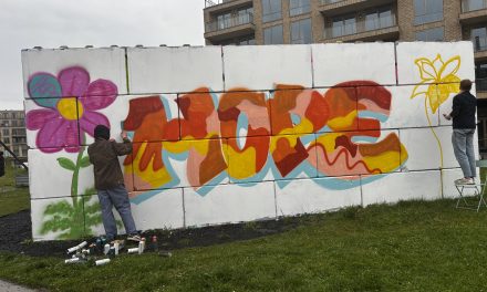 HopecoreFest, hoe hoop centraal staat