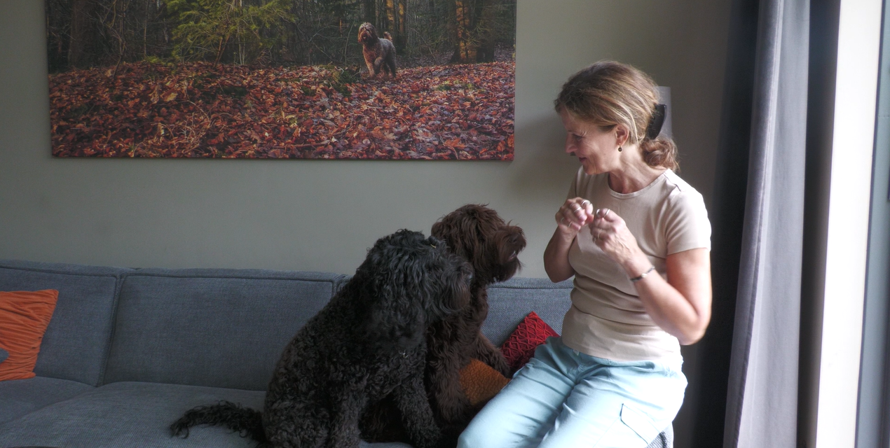 Puppy Playtime brengt jonge honden én baasjes samen