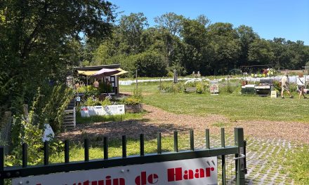 Plukseizoen van start bij Moestuin de Haar