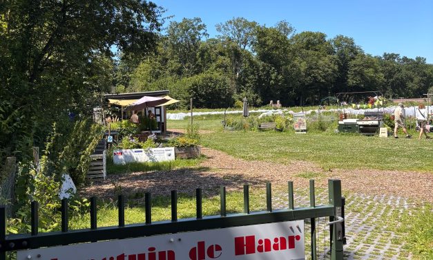 Plukseizoen van start bij Moestuin de Haar