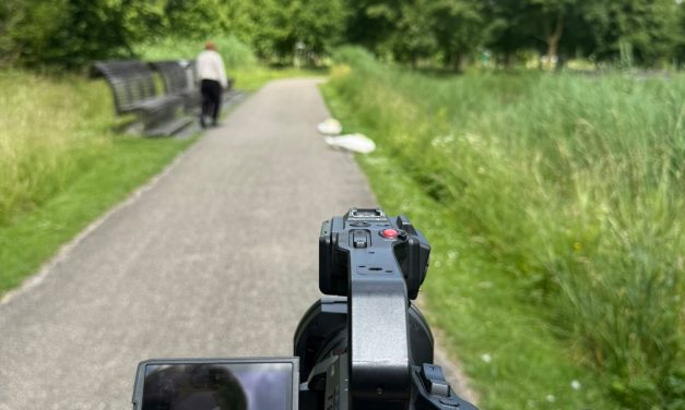 Buurt in de ban van zwaan in Máximapark