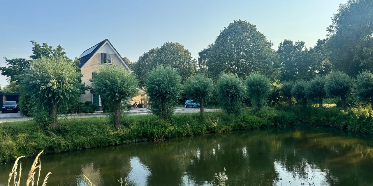 Knotwilgen zorgen voor overlast in de Meern