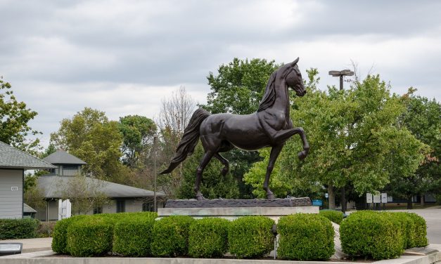 De 50 Amerikaanse staten: dag 14 Kentucky