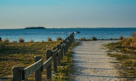 De 50 Amerikaanse staten: dag 26 Florida