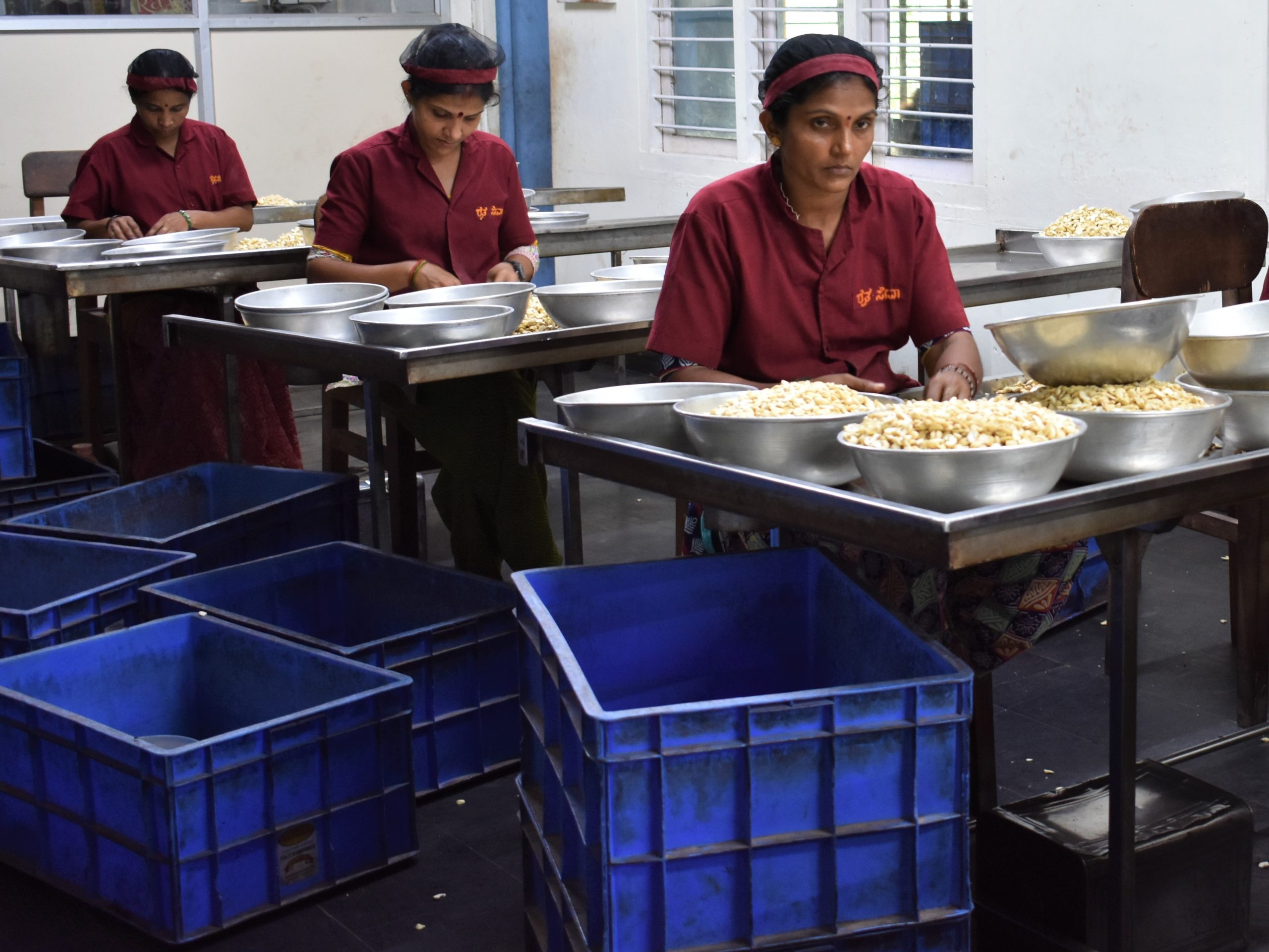 Arbeiders cashewnootfabriek