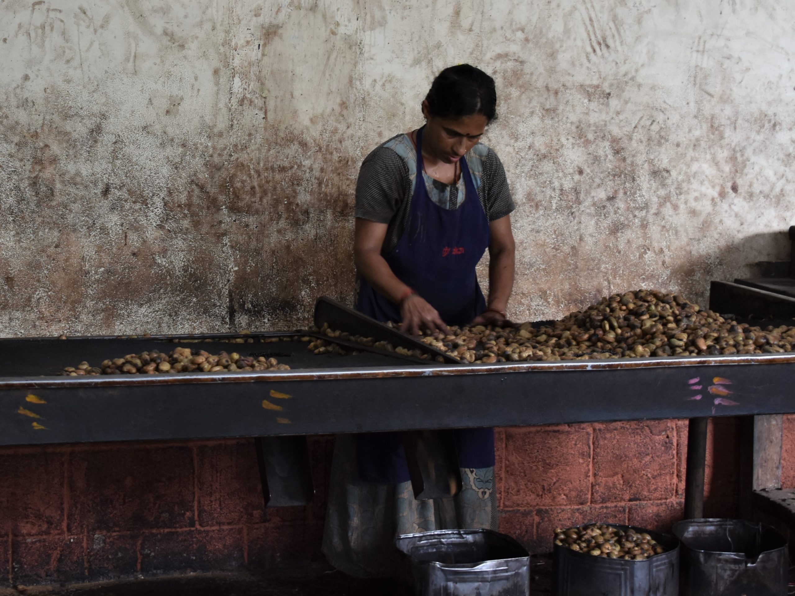 Vrouw sorteert cashewnoten