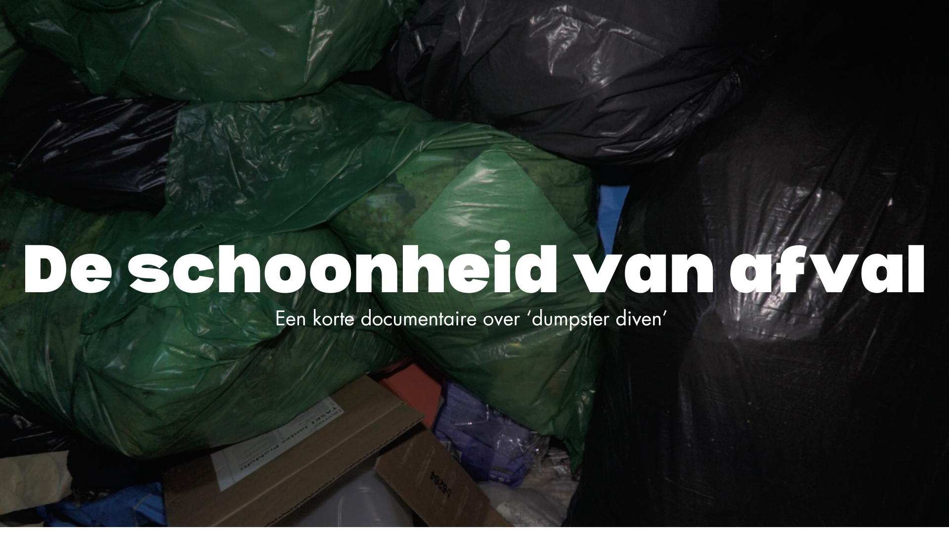 Beeld: Michelle Habets
