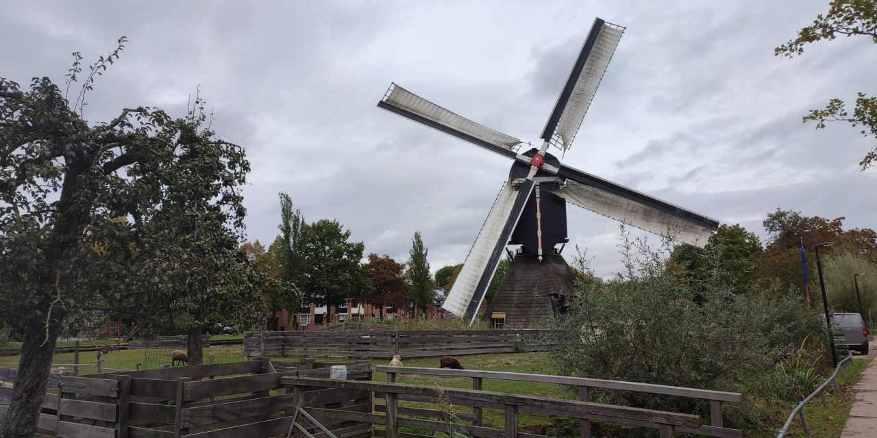 ‘Wat zeg ik? Hondentaal voor kids’ op de kinderboerderij