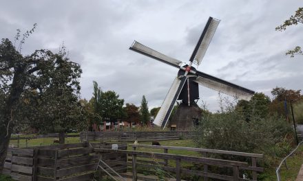 ‘Wat zeg ik? Hondentaal voor kids’ op de kinderboerderij