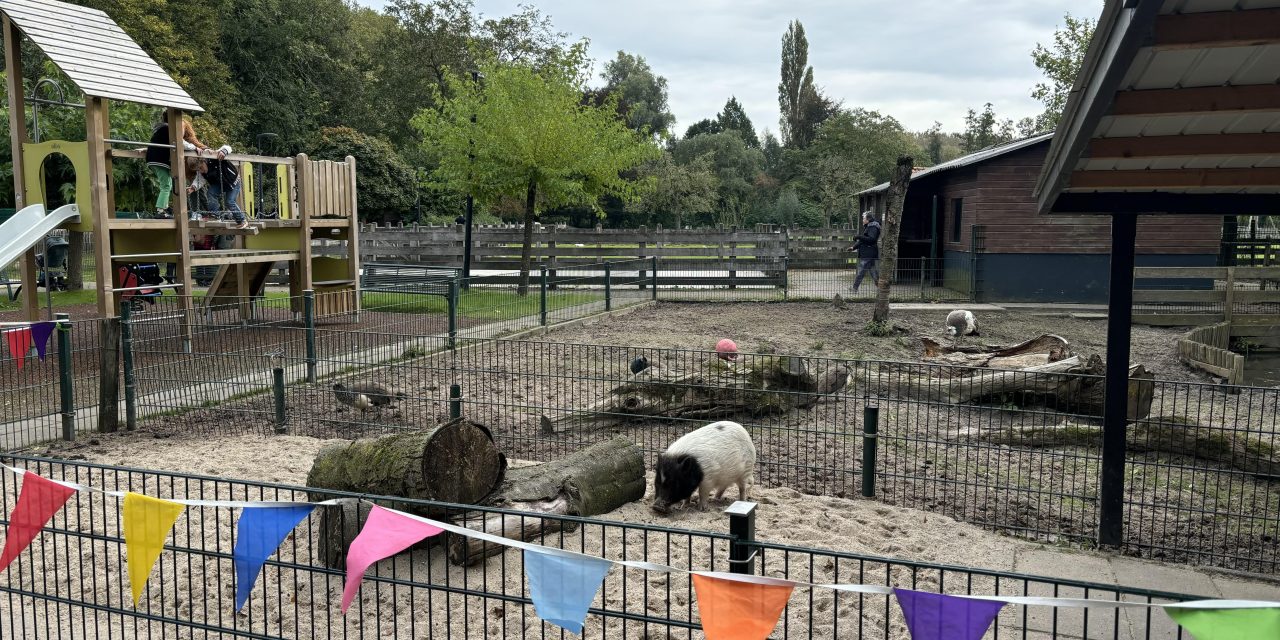 Dierendagfeest in Nieuwegein: knuffelen met dieren, poeprace en meer op de kinderboerderij