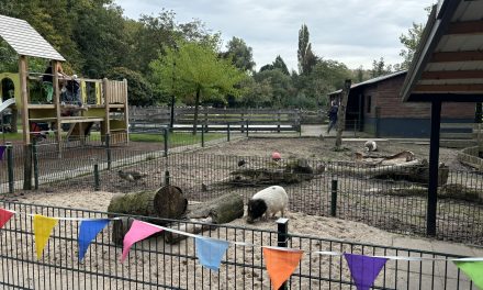 Dierendagfeest in Nieuwegein: knuffelen met dieren, poeprace en meer op de kinderboerderij