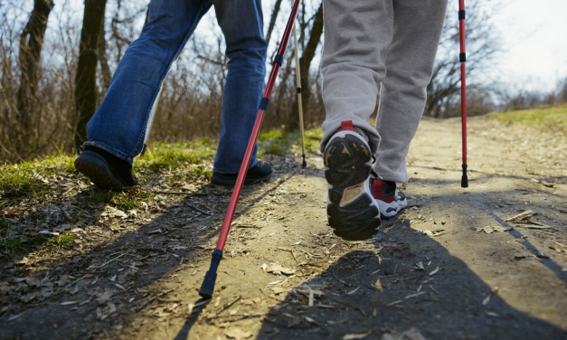 Avondvierdaagse Nieuwegein dringend opzoek naar nieuwe voorzitter