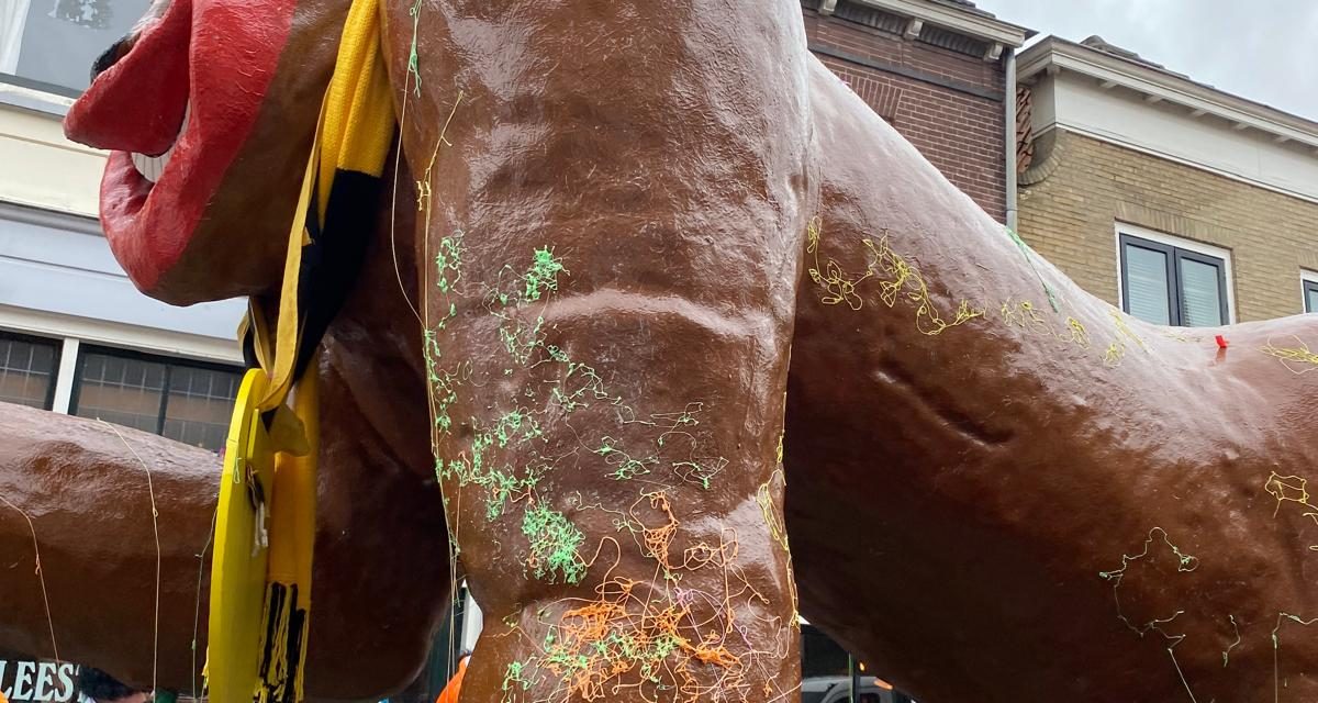 Overheid belemmerd carnaval: ‘ik vind het onzin.’