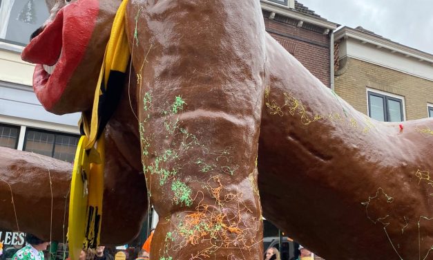 Overheid belemmerd carnaval: ‘ik vind het onzin.’