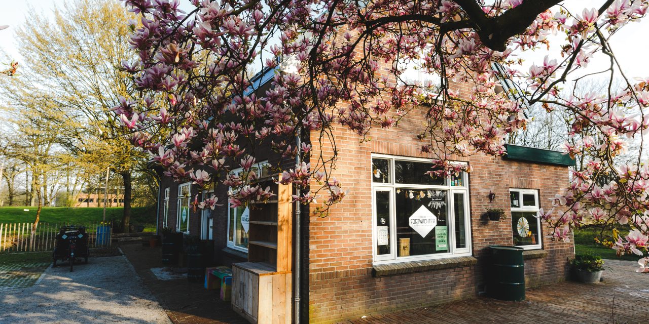 “Overschot aan speelgoed en boeken, maar gebrek aan Wifi”