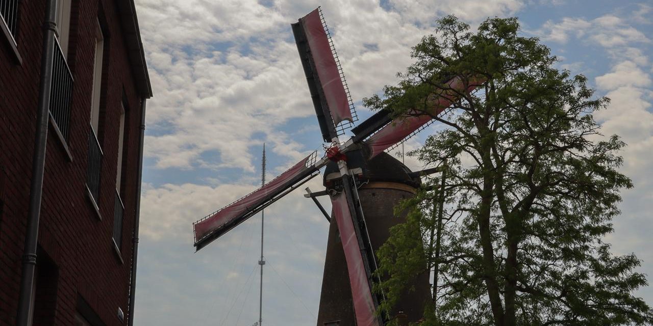 Gepassioneerde molenaar vertelt over zijn kunst
