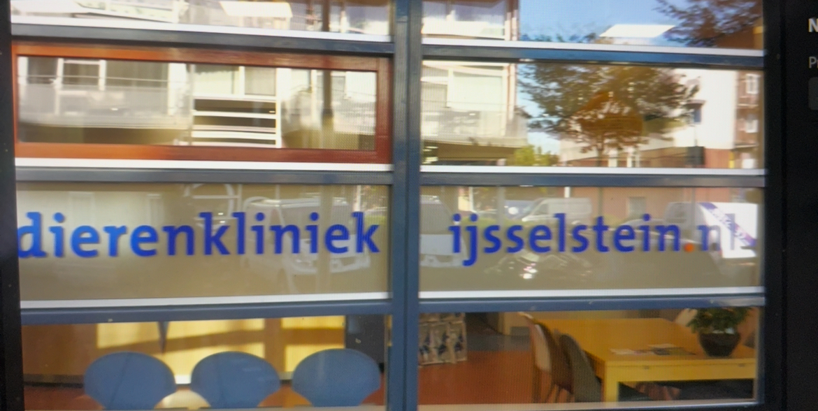 “Mensen denken dat dieren geen gevoelens hebben, maar dat hebben ze echt wel.”