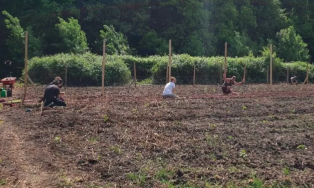Zelfoogsttuin De Brandnetel; “Iedereen is welkom”