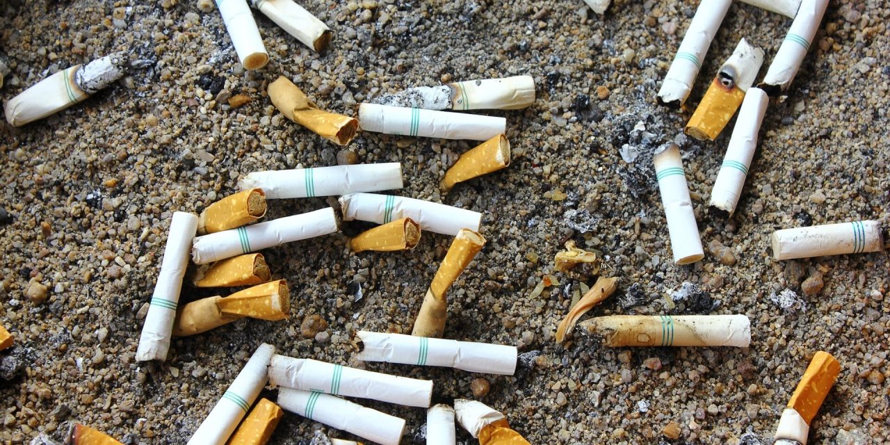 Sigaretten opruimactie in IJsselstein zorgt voor besef: ‘zo’n peuk lijkt klein, maar is enorm schadelijk voor het milieu’