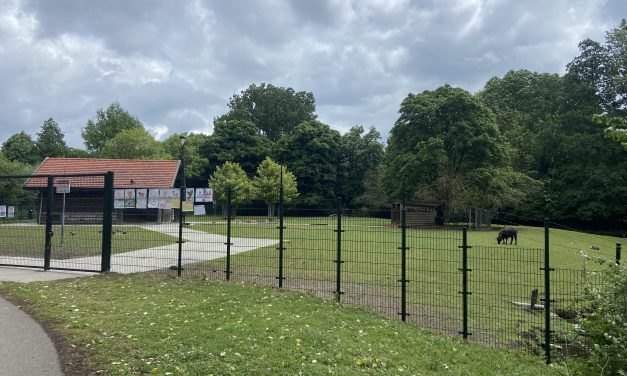 Petitie gestart Tegen Sluiting Dierenweide in Zuilenstein