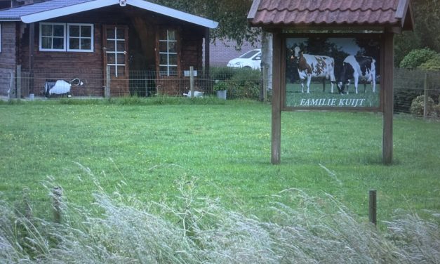 Vers van de koe: Melktap familie Kuijt brengt boerderij naar de buurt
