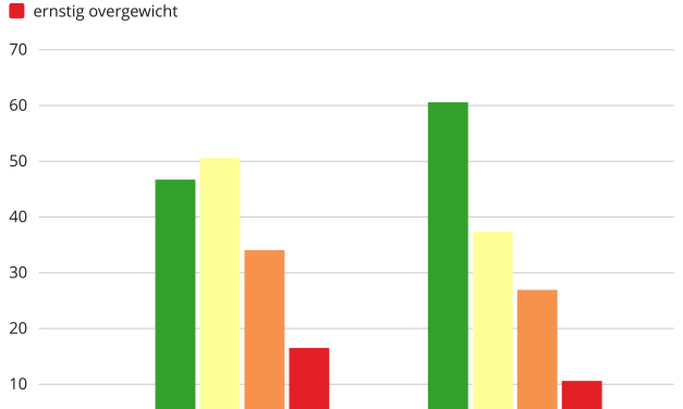 Meer sportscholen, maar toch het hoogste overgewicht in de regio Nieuwegein