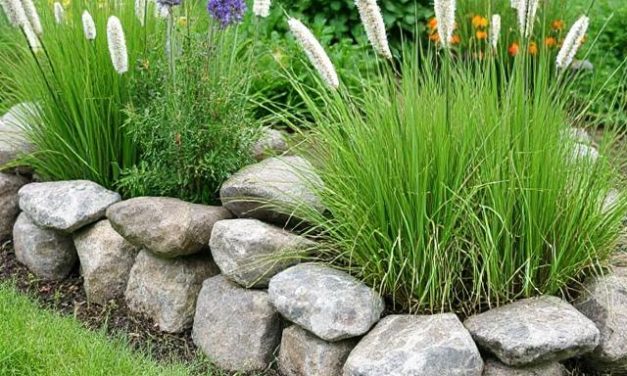 Nieuwegein helpt inwoners vergroenen: tuinactie voor stadspashouders groot succes