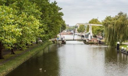 Ondernemers Winkelcentrum De Batau kunnen niet wachten op mogelijke Bedrijfsinvesteringszone (BIZ)