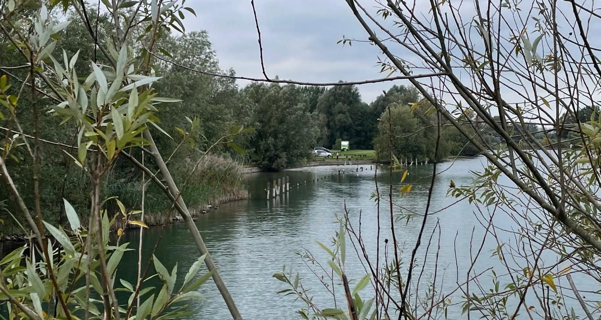 Nedereindse Park krijgt een grote opknapbeurt