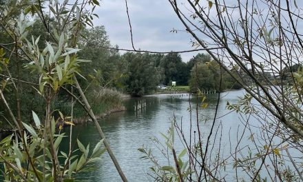 Nedereindse Park krijgt een grote opknapbeurt
