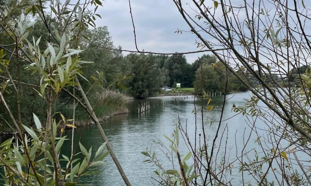 Nedereindse Park krijgt een grote opknapbeurt