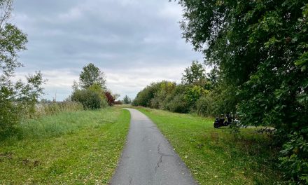 Geen brom- en snorfietsen meer in Nedereindse Park na opknapbeurt