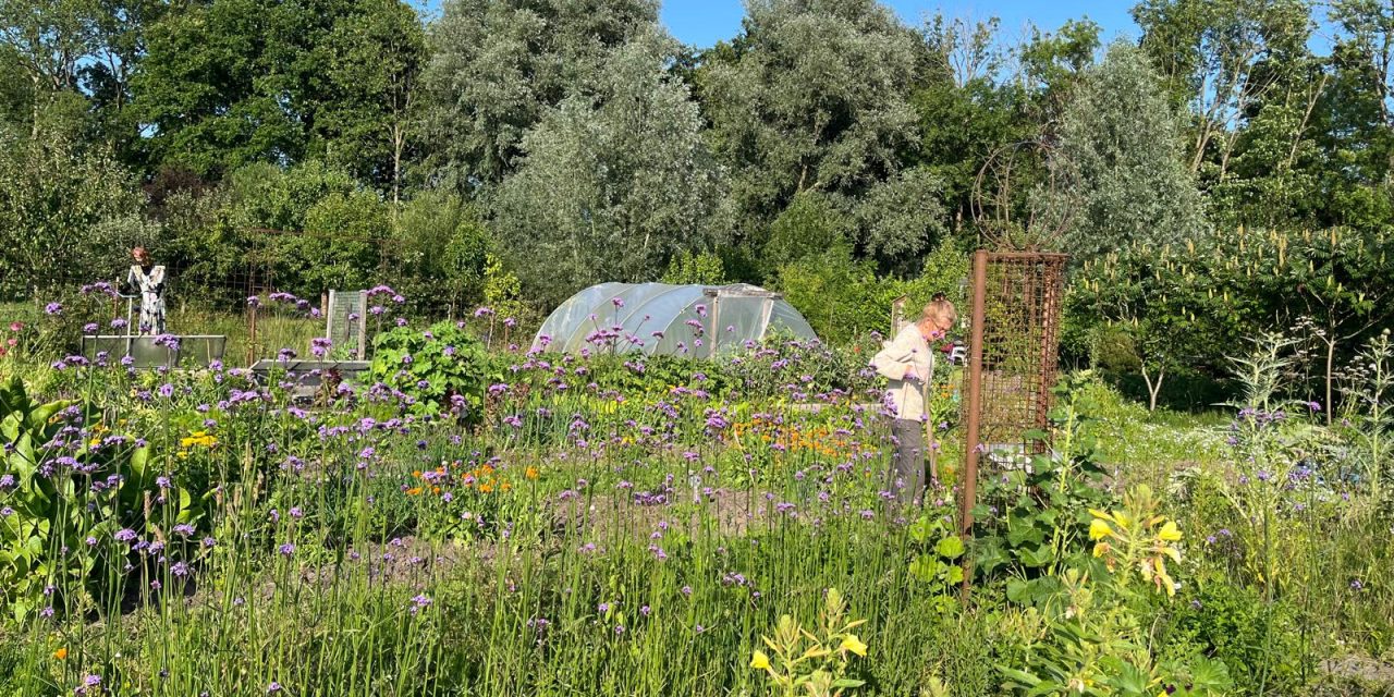 ‘Alles begon met opa’s moestuin’