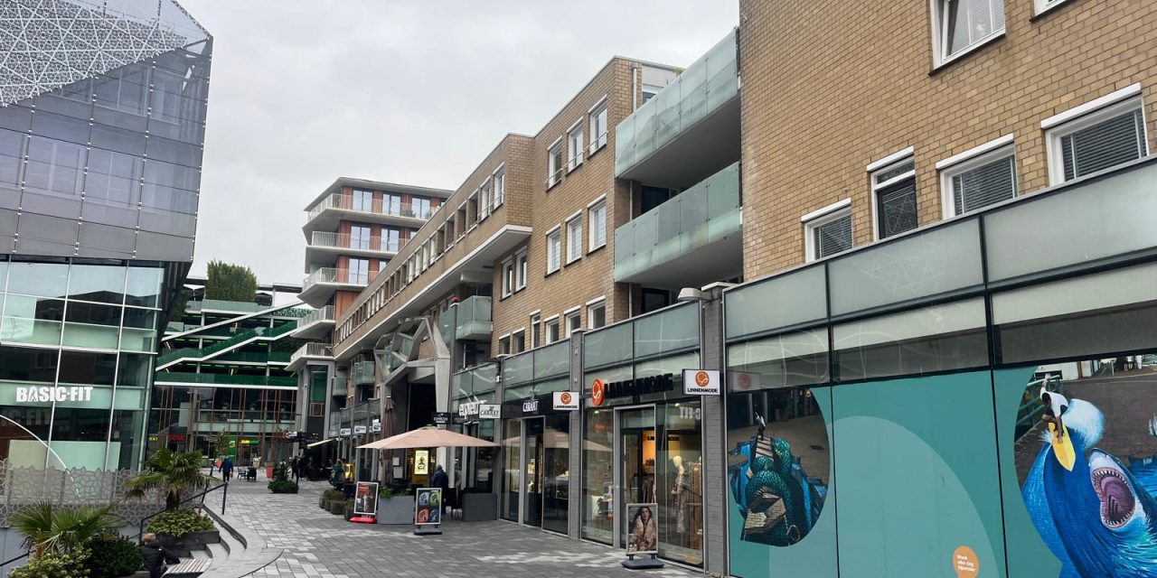 “Geluk en uithoudingsvermogen is de enige formule”